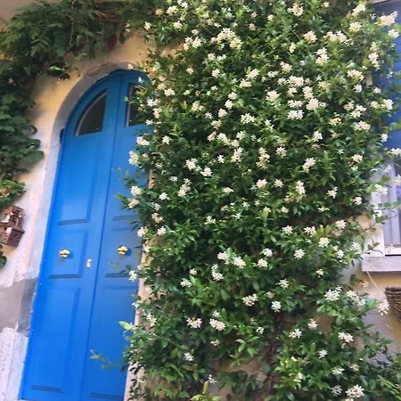 Ventiquattro Ore Vacanze Guest house Agrano